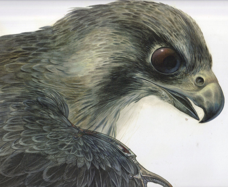 [Image: 20260104084637-e63c6406-me.jpg]