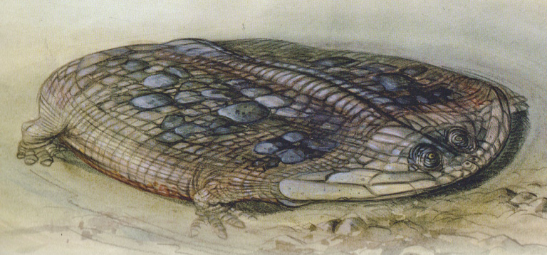 [Image: 20260104132239-d828cda2-me.jpg]