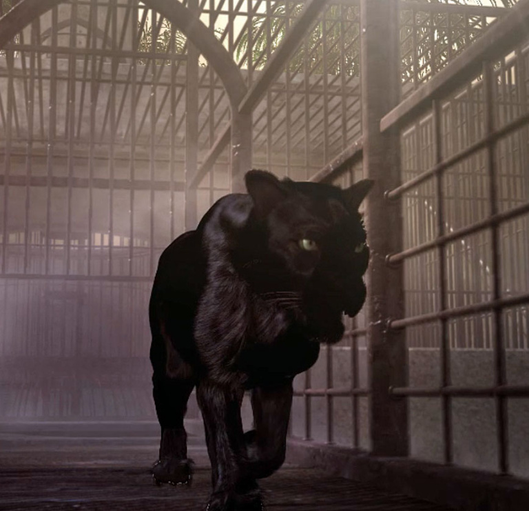 [Image: 20260131142155-a0a09339-me.jpg]