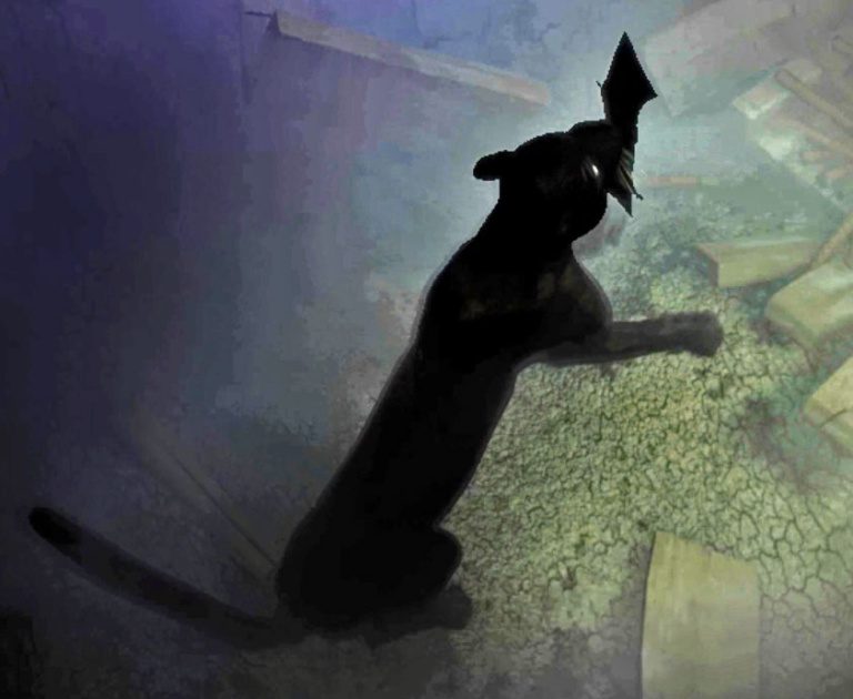 [Image: 20260208174935-2eec1657-me.jpg]