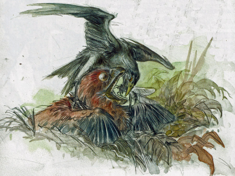 [Image: 20260413070614-a90365be-me.jpg]