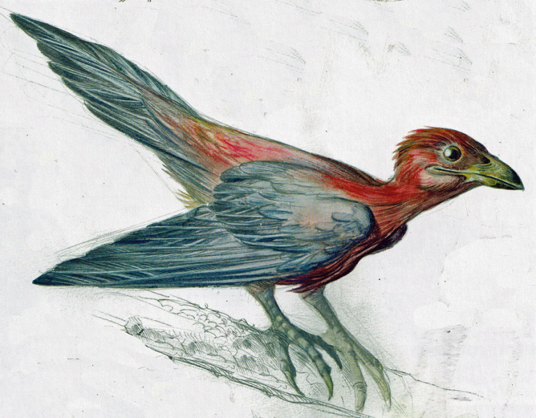 [Image: 20260413073221-afa092f8-me.jpg]