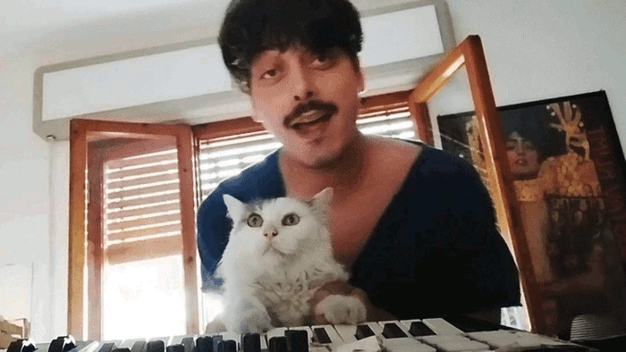 [Image: 20241110171243-15c81f4e.gif]