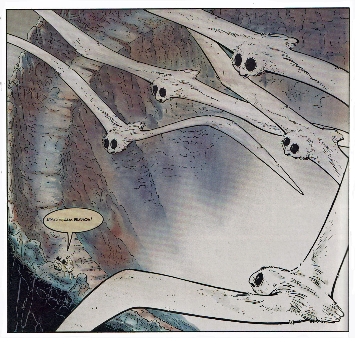 [Image: 20251005084541-8d3795ab.jpg]