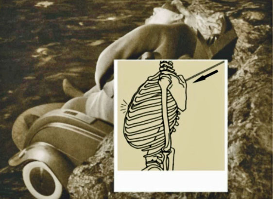 [Image: 20251129063315-016f27f1.jpg]