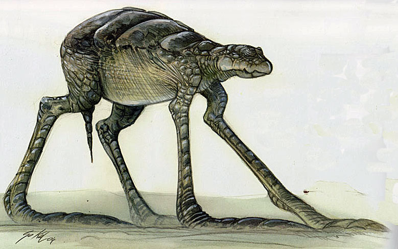 [Image: 20260104082725-b8a9a992.jpg]