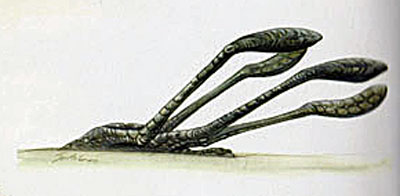 [Image: 20260104082726-bfb89207.jpg]