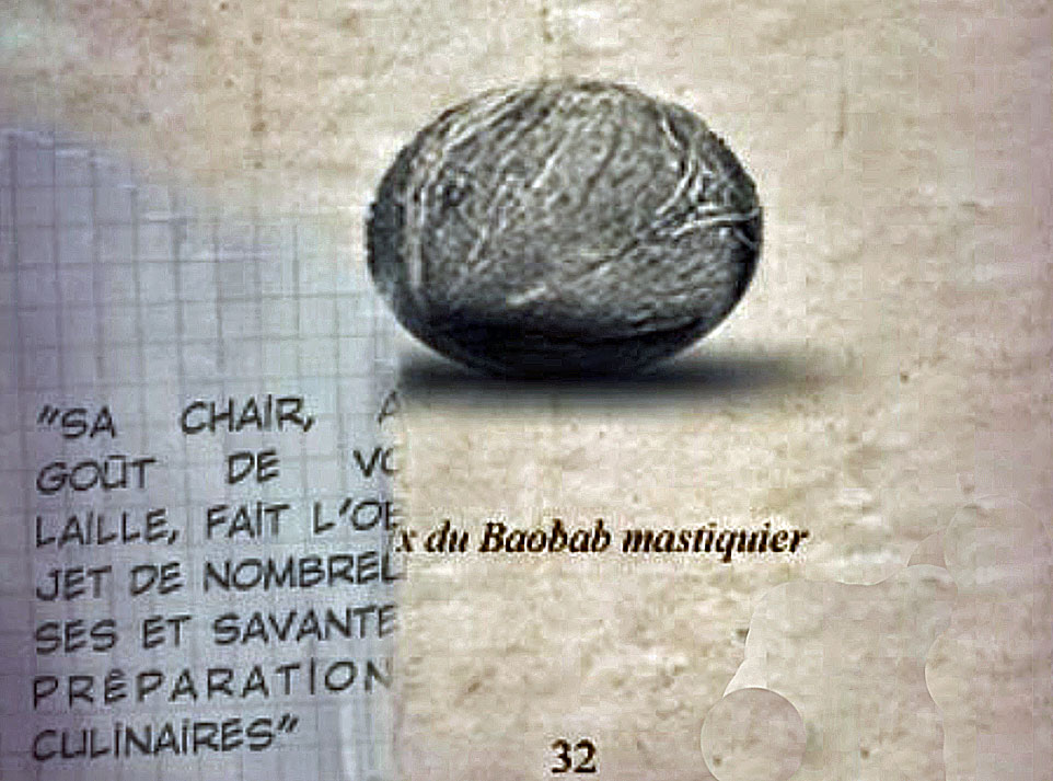 [Image: 20260104153320-4e147dc4.jpg]