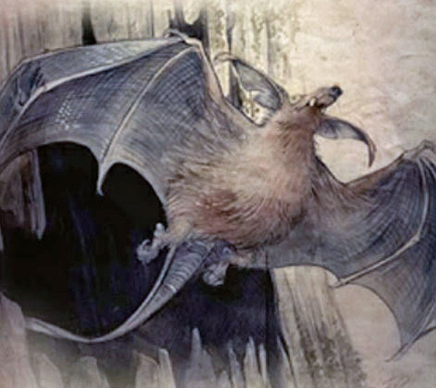 [Image: 20260104153320-ac0bbd6b.jpg]