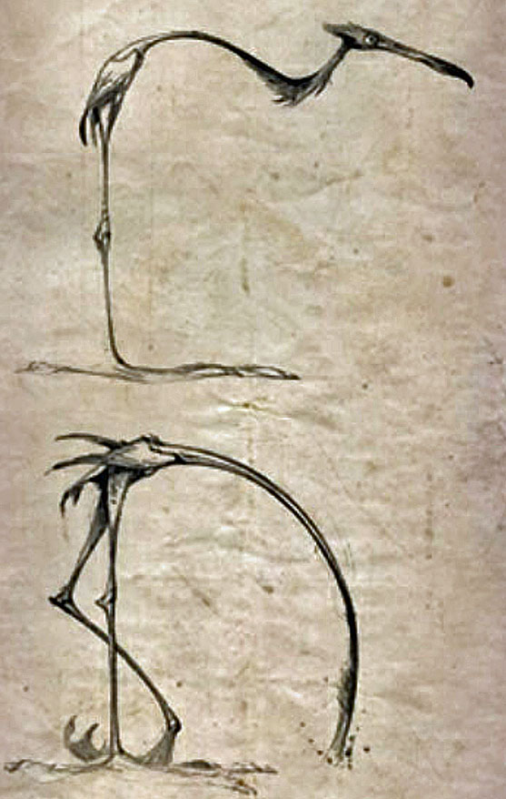 [Image: 20260105084444-1867b288.jpg]