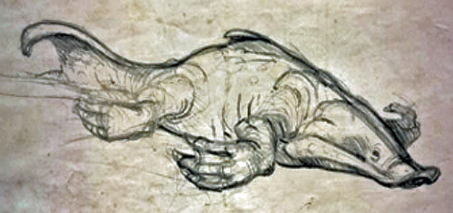 [Image: 20260105084445-dc92cee8.jpg]