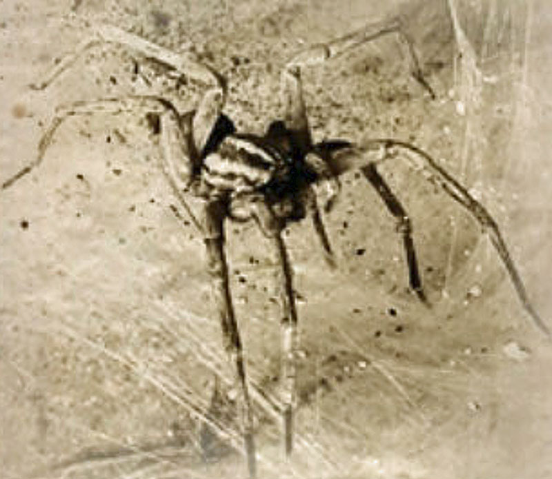 [Image: 20260105085300-e7c6db35.jpg]