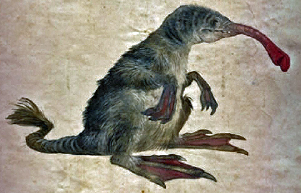 [Image: 20260105085301-6727ee00.jpg]