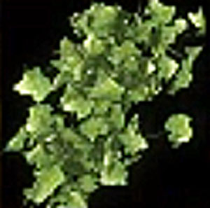 [Image: 20260128134211-45e89121.jpg]