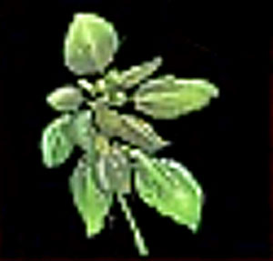 [Image: 20260128134212-bb723ed2.jpg]