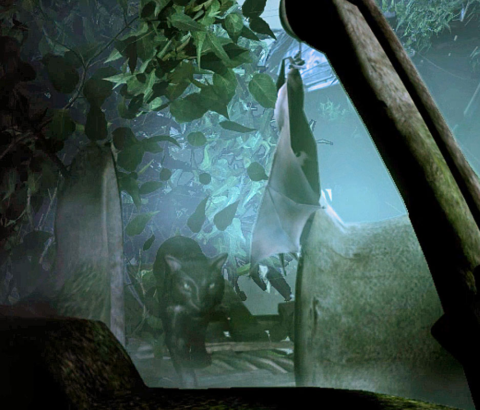 [Image: 20260130150320-47fcd2fb.jpg]