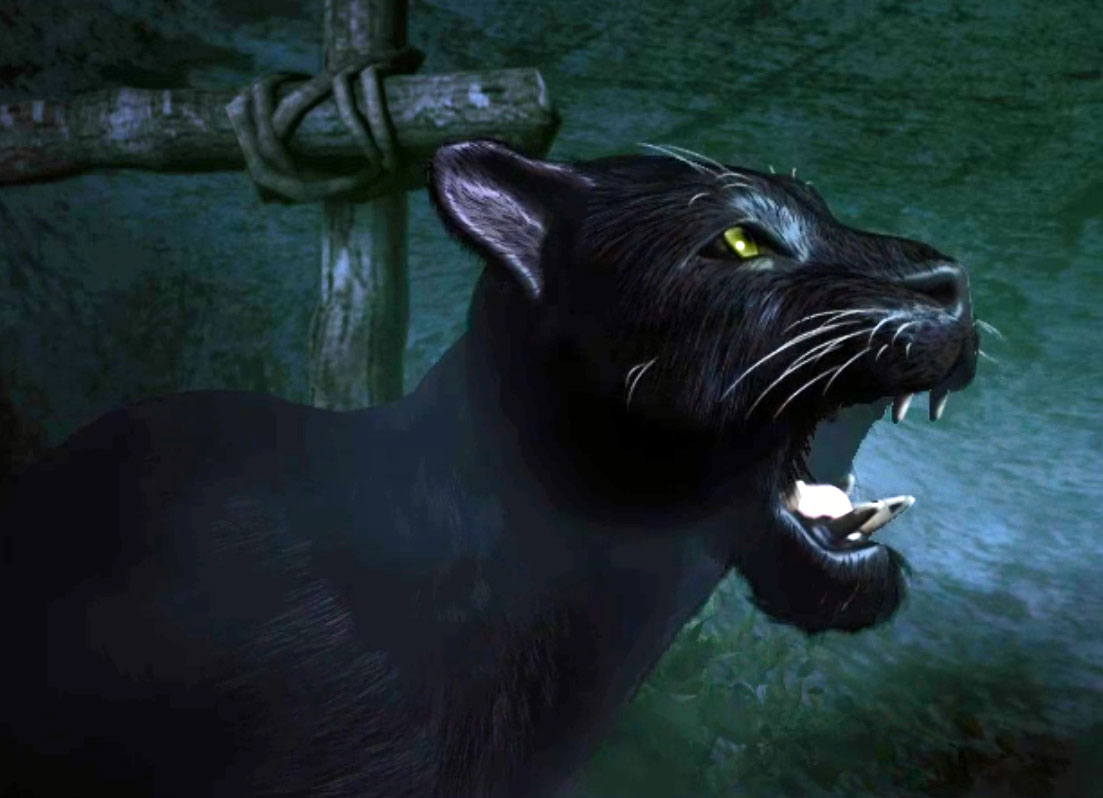 [Image: 20260130150320-6afdbd2c.jpg]