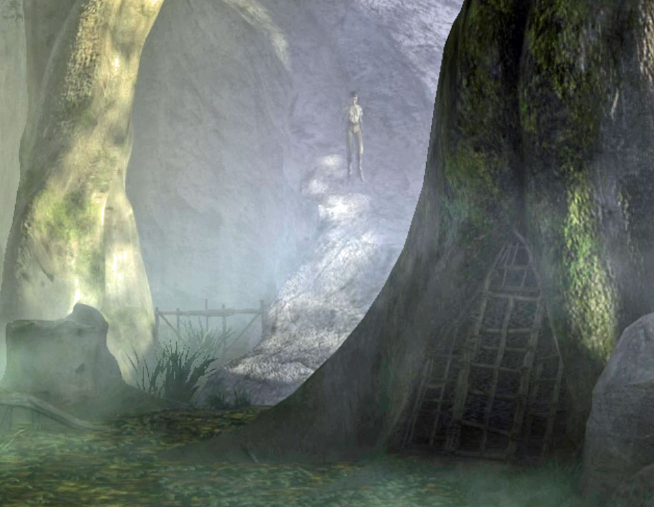 [Image: 20260131155140-c911e07a.jpg]