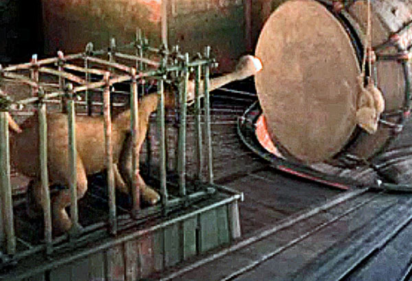 [Image: 20260218122915-9b4cb4ce.jpg]