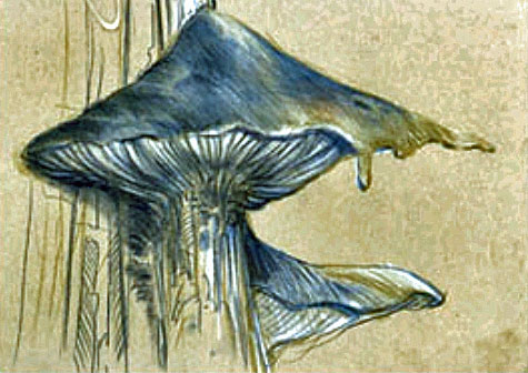 [Image: 20260412084723-4f7b0948.jpg]