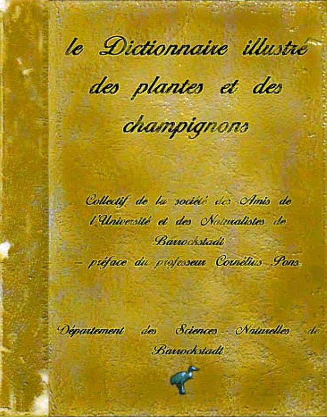 [Image: 20260412084723-50bcb619.jpg]