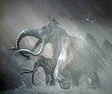 [Image: 20260412085032-8f98bc47.jpg]