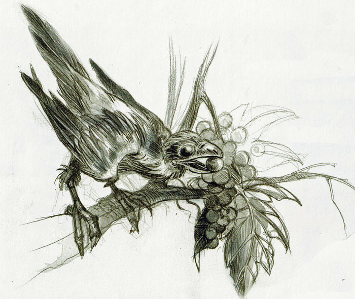 [Image: 20260413072236-f84944c0.jpg]