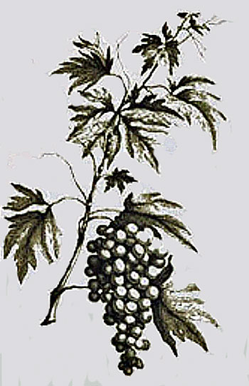 [Image: 20260413075041-88e352e6.jpg]