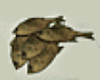 [Image: 20260510125231-eae199fb.jpg]